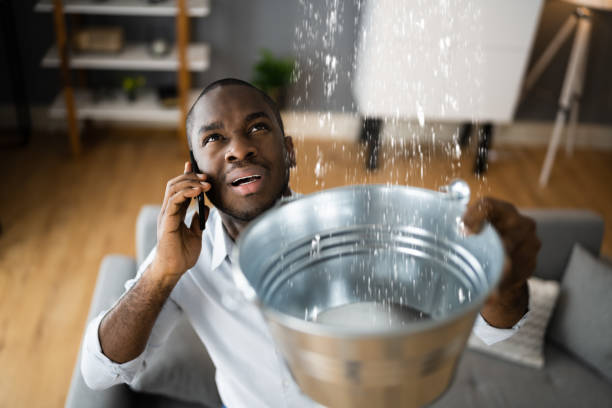 Best Mold removal after water damage  in Burnt Store Marina, FL