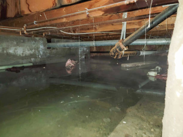 Professional Water damage restoration in Burnt Store Marina, FL