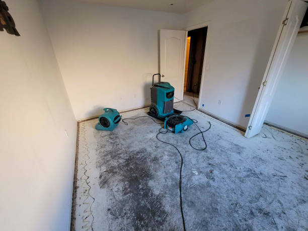 Best Sewage cleanup and water damage restoration  in Burnt Store Marina, FL