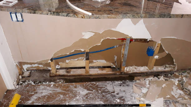 Best Carpet water damage restoration  in Burnt Store Marina, FL