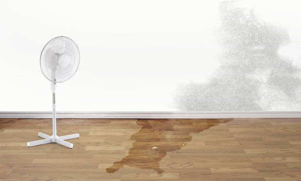 Sewage cleanup and water damage restoration in Burnt Store Marina, FL
