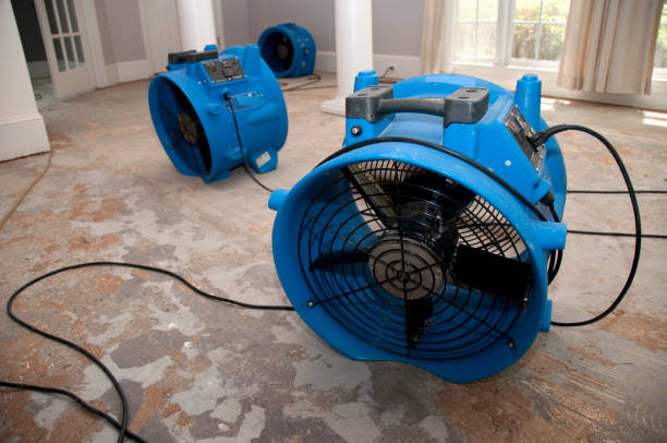 Best Local water damage restoration  in Burnt Store Marina, FL