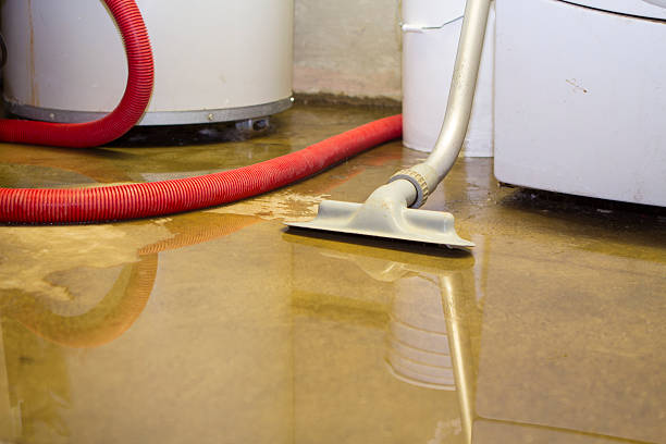 Best Residential water damage restoration  in Burnt Store Marina, FL
