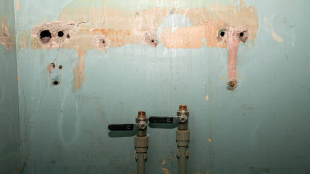 Best Flooded house restoration  in Burnt Store Marina, FL