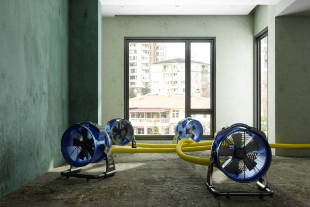 Best Ceiling water damage repair  in Burnt Store Marina, FL